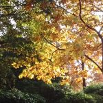 How to understand idioms if you're on the autism spectrum