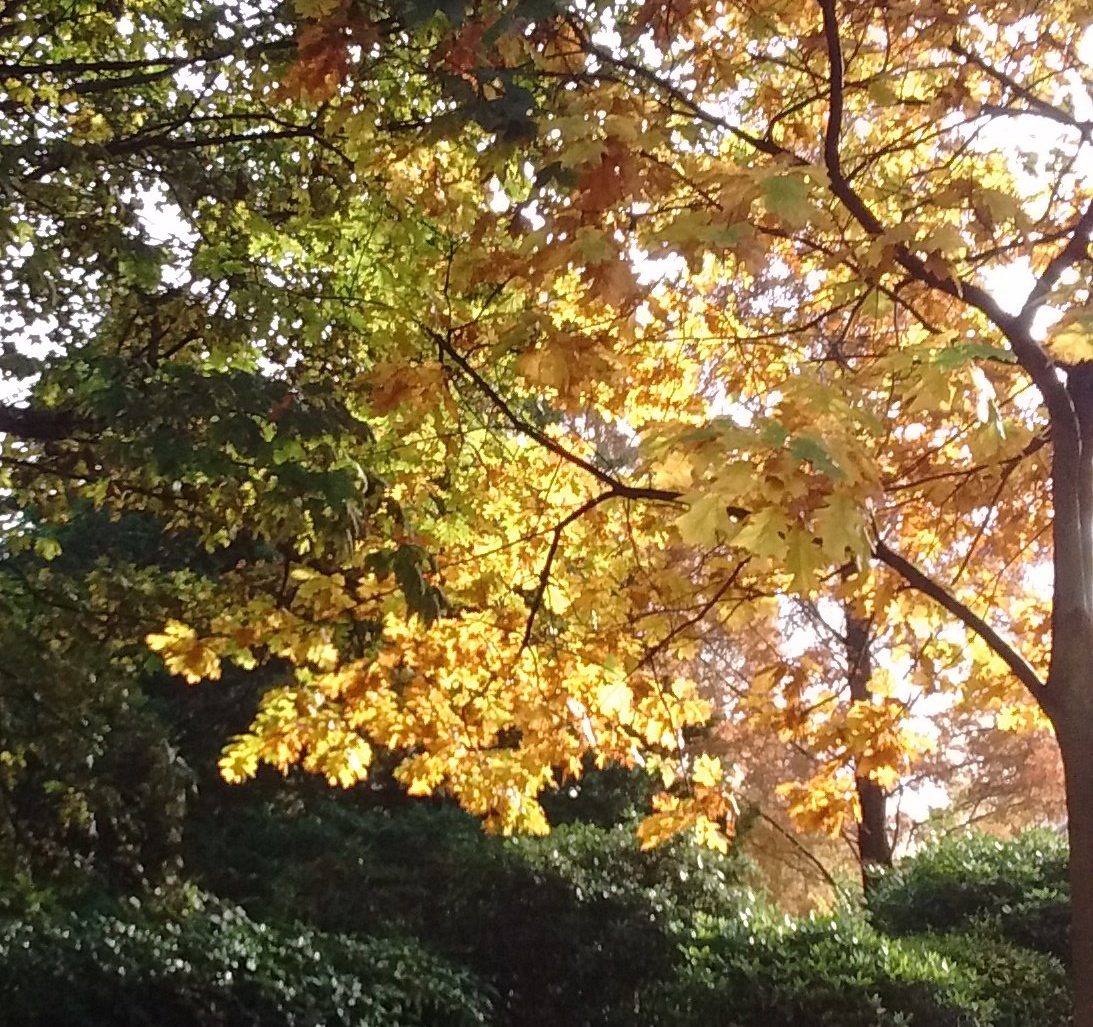 How to understand idioms if you're on the autism spectrum