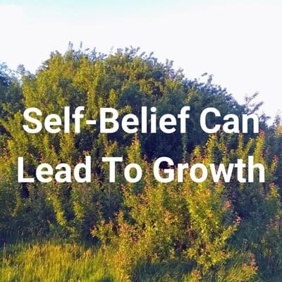 Self-belief and growth