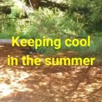 Keeping cool in the summer heat