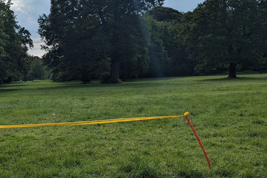 Park run