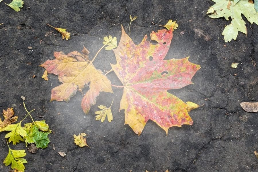 The Potential of Technology to Help Those with Autism - Stephen's Evolution